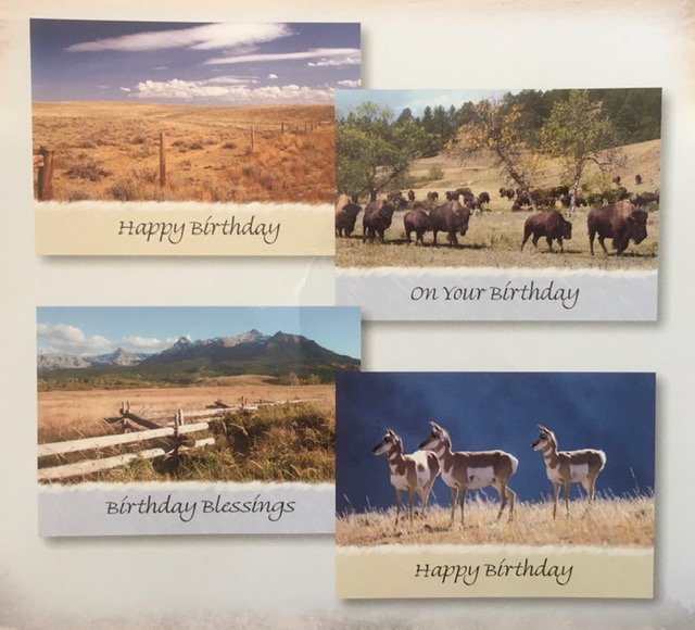 Birthday Cards - Our Father's World - Set of 4